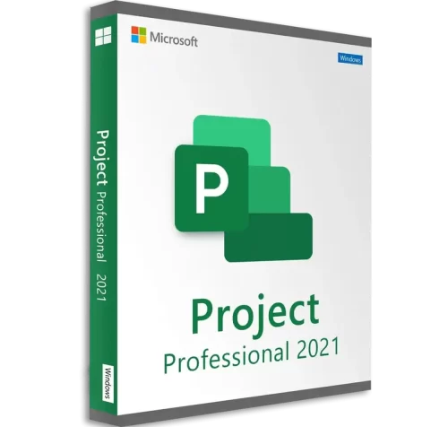 Microsoft Project Professional 2024